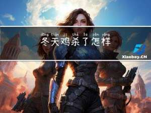 冬天鸡杀了怎样