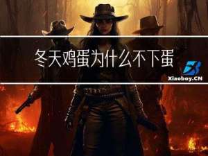 冬天鸡蛋为什么不下蛋