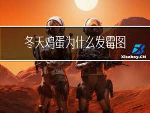 冬天鸡蛋为什么发霉图片