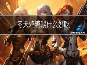 冬天鸡鸭喂什么好吃