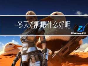 冬天鸡鸭喂什么好呢