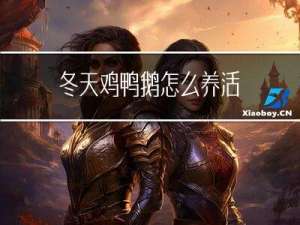 冬天鸡鸭鹅怎么养活