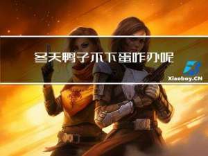 冬天鸭子不下蛋咋办呢