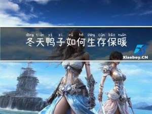 冬天鸭子如何生存保暖