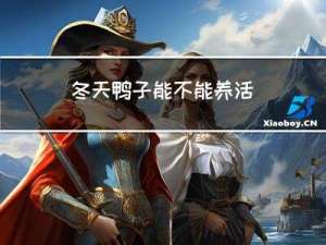 冬天鸭子能不能养活