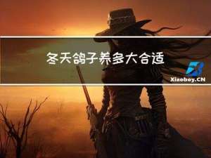 冬天鸽子养多大合适