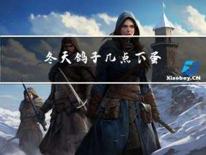 冬天鸽子几点下蛋