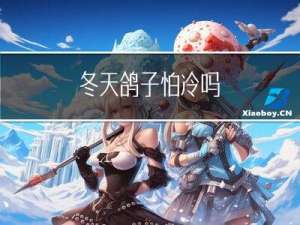 冬天鸽子怕冷吗