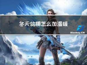 冬天鸽棚怎么加温暖