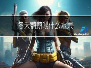 冬天鹦鹉喂什么水果