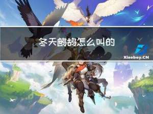 冬天鹧鸪怎么叫的