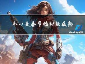 冬小麦春节播种能成熟吗