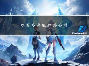 冰柜冬天能放外面吗