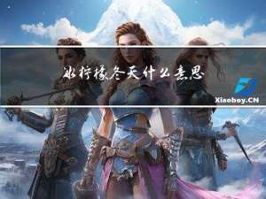 冰柠檬冬天什么意思