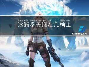 冰箱冬天搁在几档上