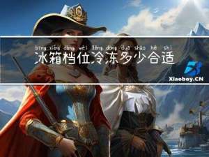 冰箱档位冷冻多少合适冬天