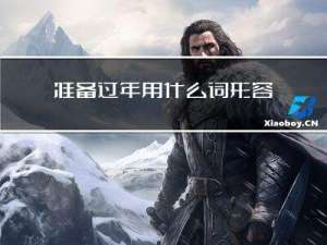 准备过年用什么词形容对方
