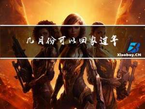 几月份可以回家过年