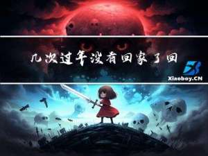 几次过年没有回家了回家