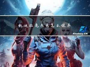 凯迪拉克冬天怎么保养