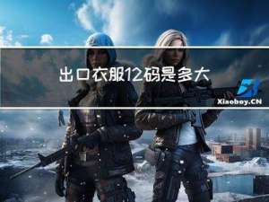 出口衣服12码是多大年龄