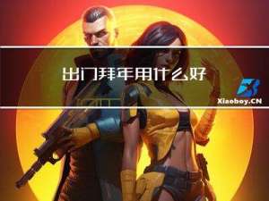 出门拜年用什么好