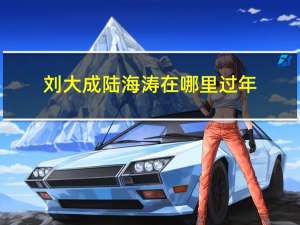刘大成陆海涛在哪里过年