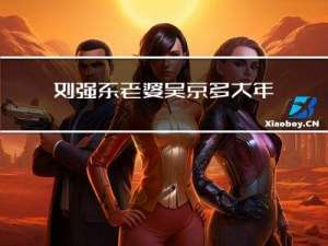 刘强东老婆吴京多大年龄