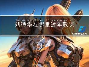 刘德华在哪里过年歌词