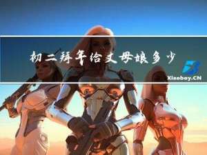 初二拜年给丈母娘多少钱