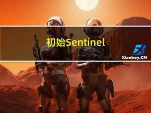 初始Sentinel