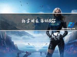 初学对象存储OSS---学习笔记