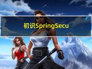 初识SpringSecurity