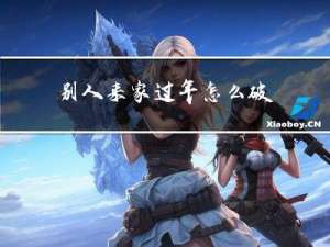 别人来家过年怎么破