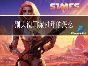 别人说回家过年的怎么回复