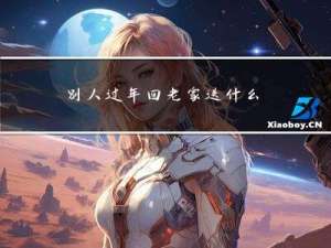 别人过年回老家送什么