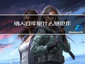 别人过年是什么感觉作文