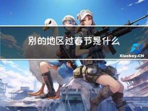 别的地区过春节是什么习俗
