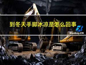 到冬天手脚冰凉是怎么回事