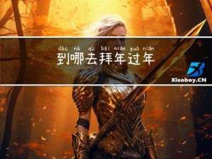 到哪去拜年过年