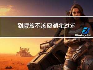 到底该不该回湖北过年呢