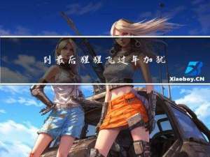 到最后猩猩飞过年加犹如