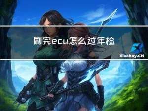 刷完ecu怎么过年检