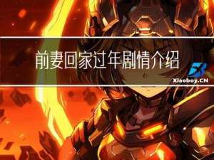 前妻回家过年剧情介绍分集