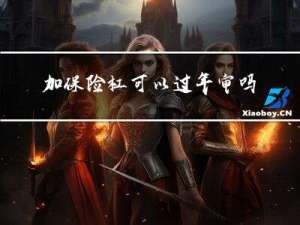 加保险杠可以过年审吗