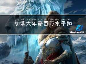 加拿大年薪百万水平如何