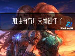 加油再有几天就过年了呀