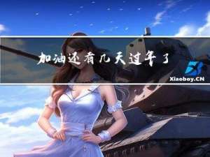 加油还有几天过年了