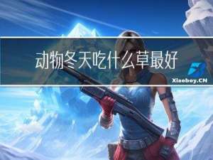 动物冬天吃什么草最好
