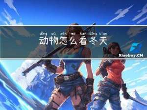 动物怎么看冬天